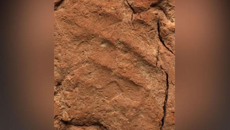 Amprenta unei palme din Egiptul Antic, găsită intactă după 4.000 de ani. Ale cui erau urmele 994061