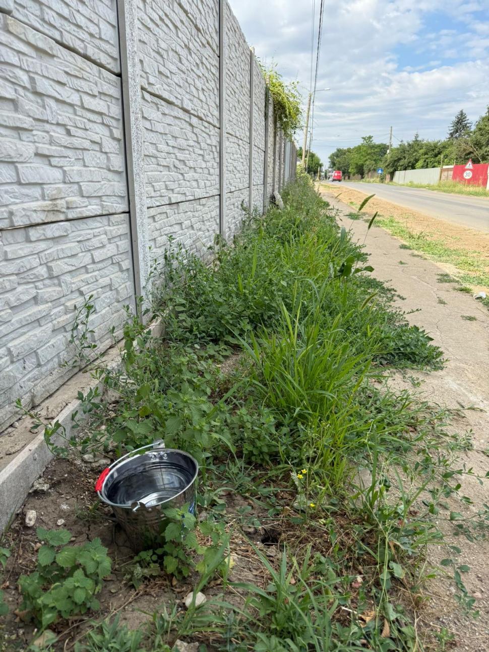 Nu doar nouă ne e greu: animalele pot muri în câteva minute din cauza caniculei. Cum le protejăm 994025