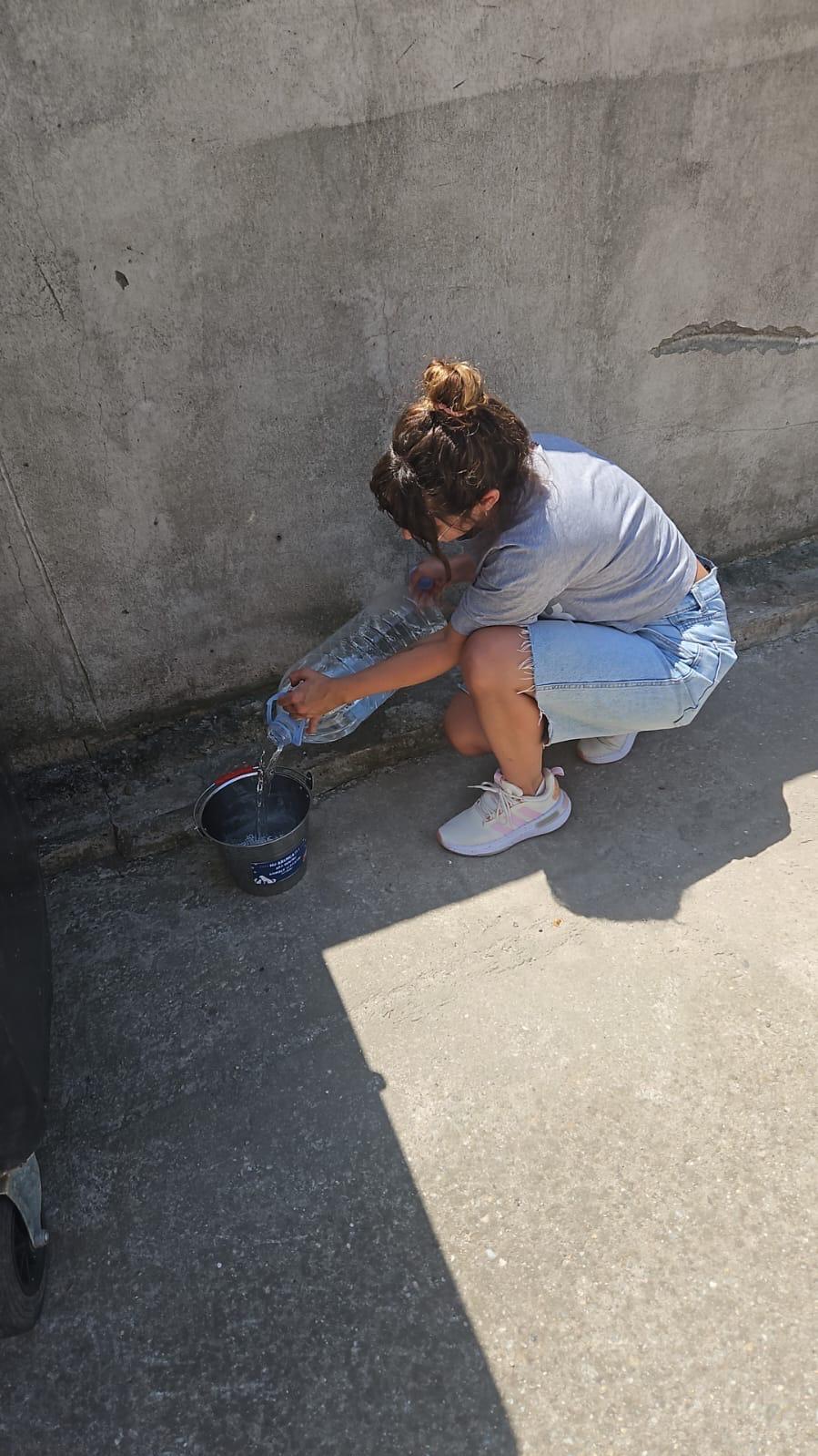 Nu doar nouă ne e greu: animalele pot muri în câteva minute din cauza caniculei. Cum le protejăm 994034