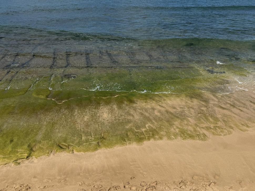 Petroglife hawaiiene antice au ieșit la suprafață pe o plajă din Oahu, la un deceniu după ce au dispărut. Localnicii spun că e un mesaj 994035