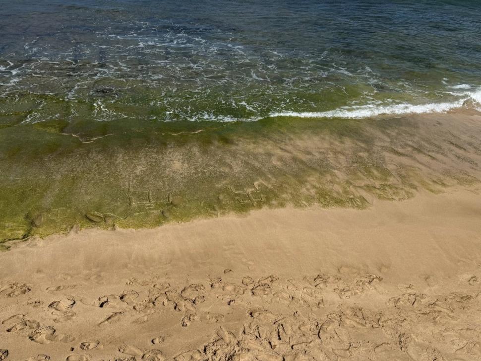 Petroglife hawaiiene antice au ieșit la suprafață pe o plajă din Oahu, la un deceniu după ce au dispărut. Localnicii spun că e un mesaj 994036