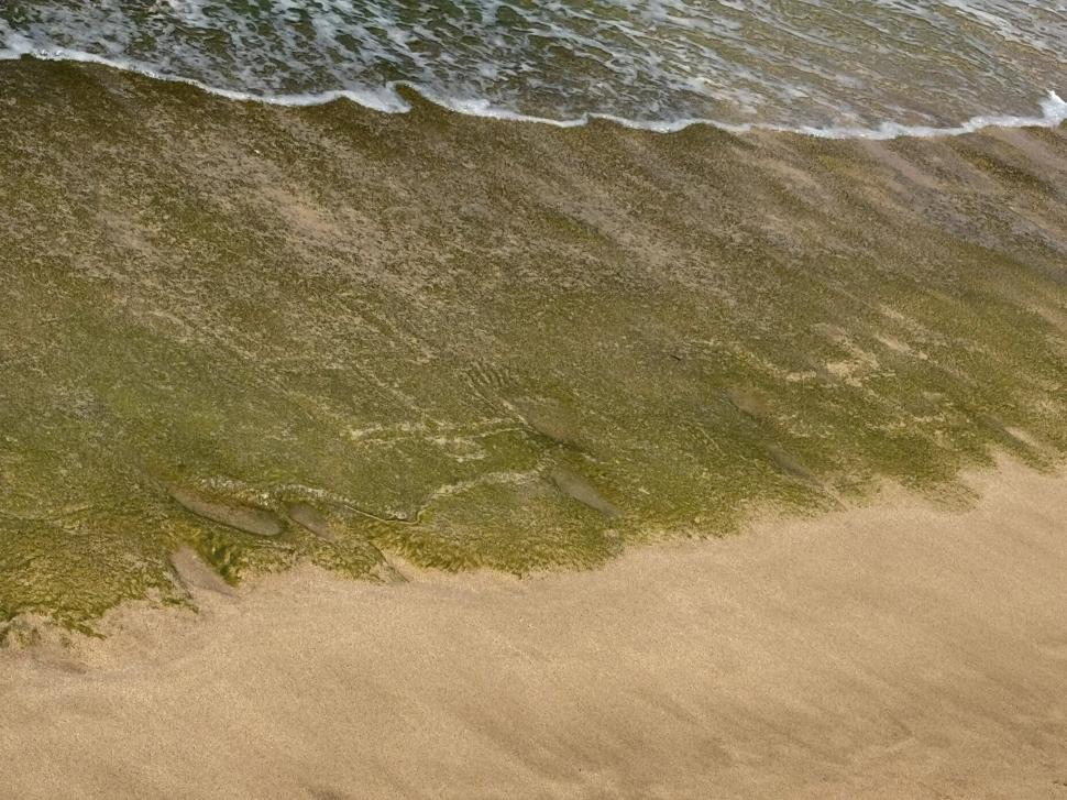 Petroglife hawaiiene antice au ieșit la suprafață pe o plajă din Oahu, la un deceniu după ce au dispărut. Localnicii spun că e un mesaj 994037