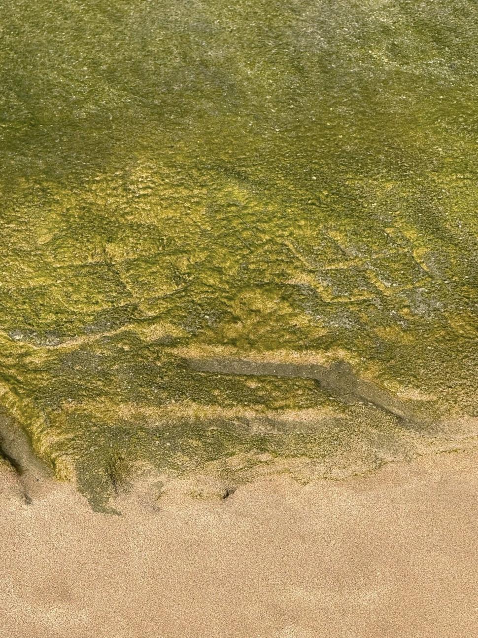 Petroglife hawaiiene antice au ieșit la suprafață pe o plajă din Oahu, la un deceniu după ce au dispărut. Localnicii spun că e un mesaj 994038