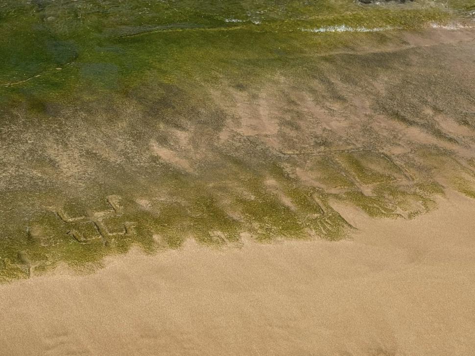 Petroglife hawaiiene antice au ieșit la suprafață pe o plajă din Oahu, la un deceniu după ce au dispărut. Localnicii spun că e un mesaj 994039