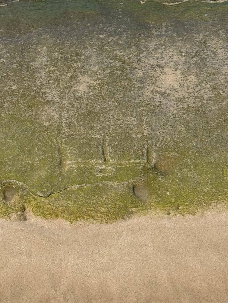 Petroglife hawaiiene antice au ieșit la suprafață pe o plajă din Oahu, la un deceniu după ce au dispărut. Localnicii spun că e un mesaj 994041