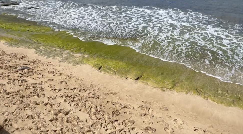 Petroglife hawaiiene antice au ieșit la suprafață pe o plajă din Oahu, la un deceniu după ce au dispărut. Localnicii spun că e un mesaj 994042