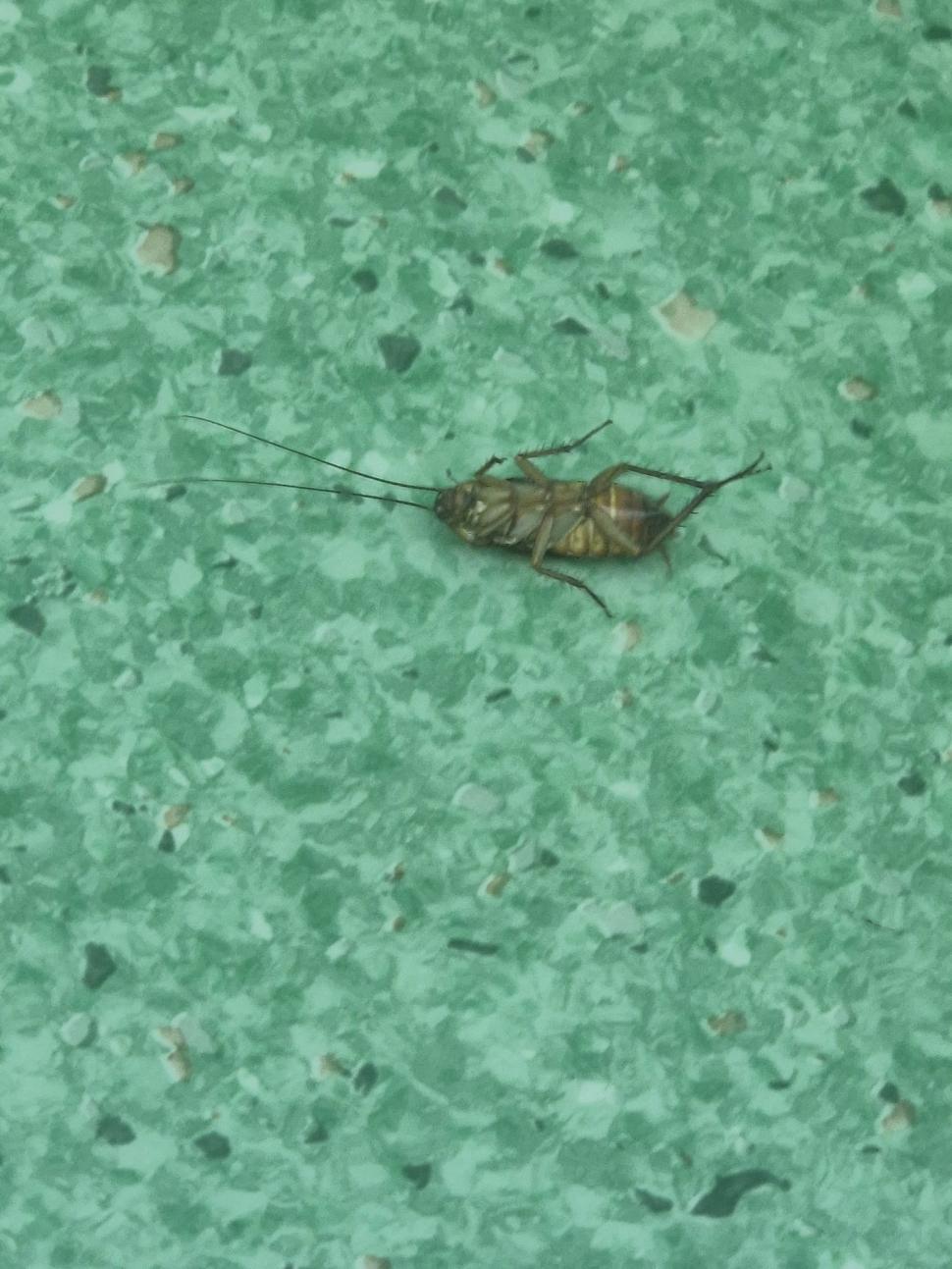 Dezvăluiri îngrozitoare făcute de o pacientă din Centrul de Arși de la Floreasca. Ministrul Sănătății a trimis Corpul de control  993804