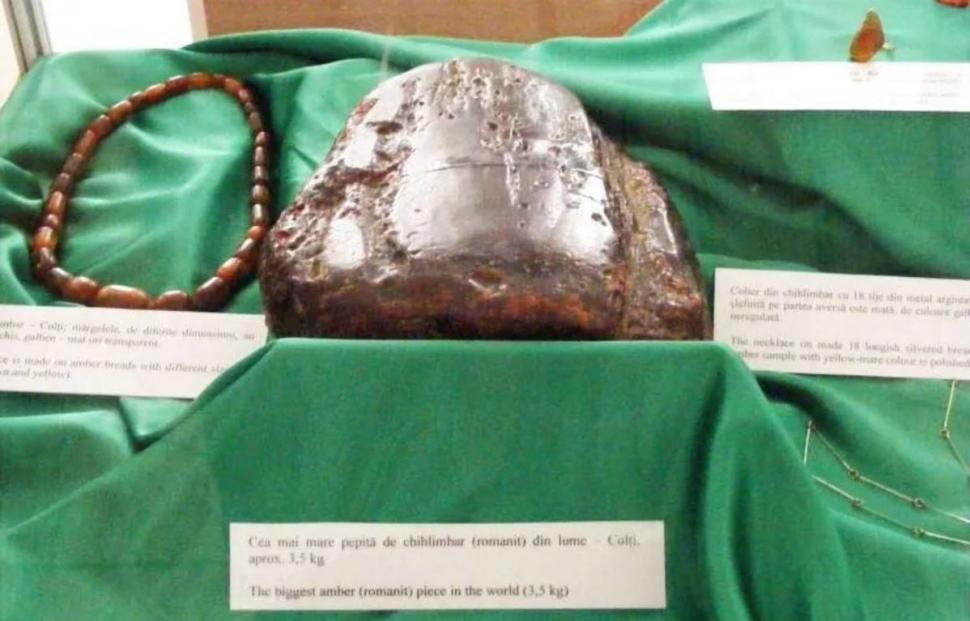 Cea mai mare pepită de chihlimbar din lume și incisivul de 1,2 m al mamutului lânos Otto, descoperite în România, au fost expuse 994800