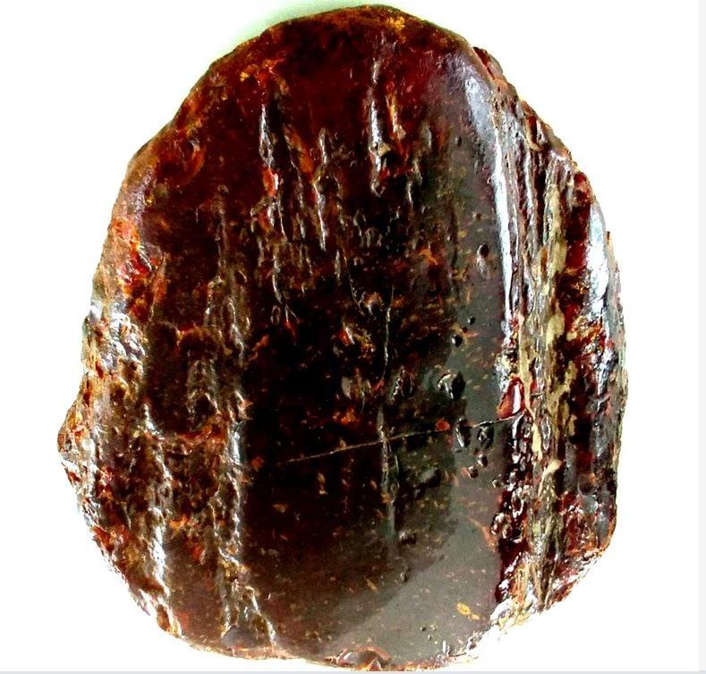 Cea mai mare pepită de chihlimbar din lume și incisivul de 1,2 m al mamutului lânos Otto, descoperite în România, au fost expuse 994801