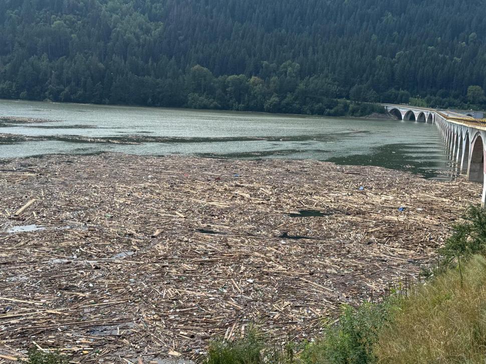 Risc biologic pe lacul Izvorul Muntelui. Viiturile au adus tone de bușteni, animale moarte și deșeuri. Va fi montat un baraj provizoriu 994906