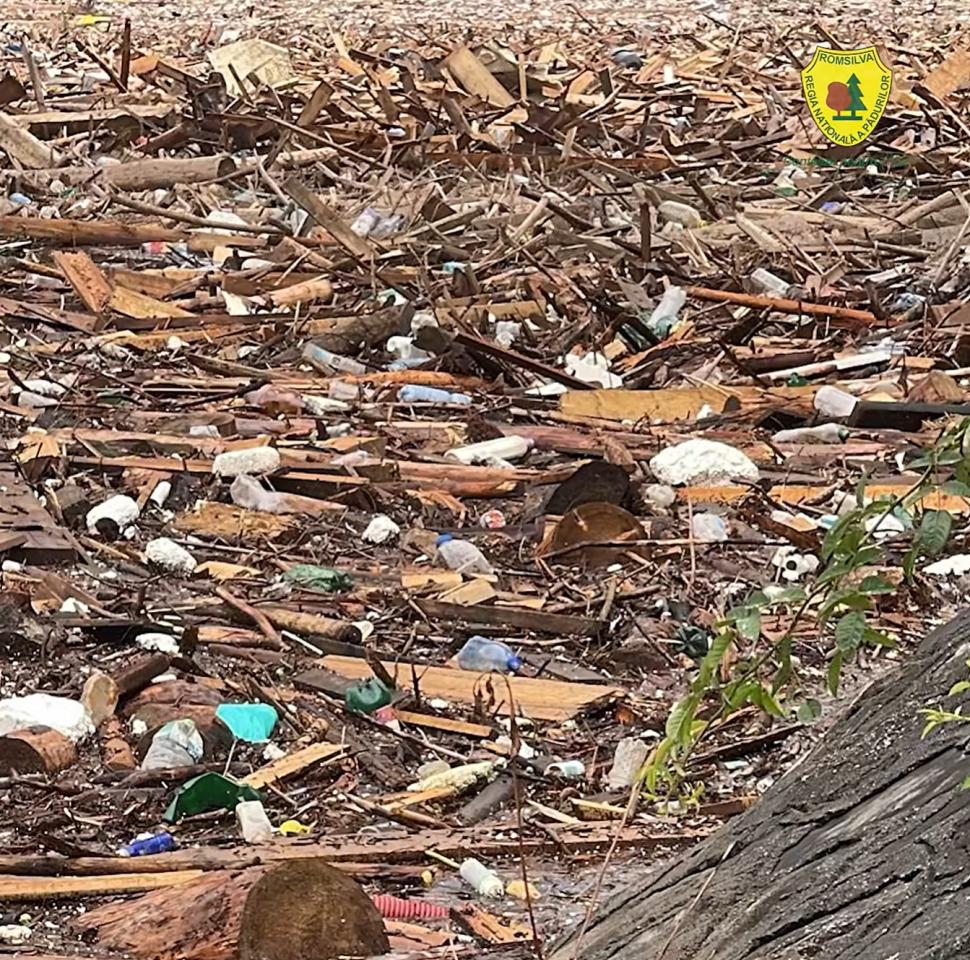 Risc biologic pe lacul Izvorul Muntelui. Viiturile au adus tone de bușteni, animale moarte și deșeuri. Va fi montat un baraj provizoriu 994915