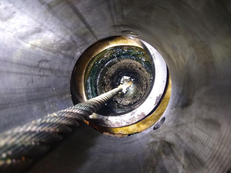 O substanță neagră s-a scurs dintr-o navă. Cercetătorii au fost uluiți de ce au descoperit: forme de viață necunoscute 995556