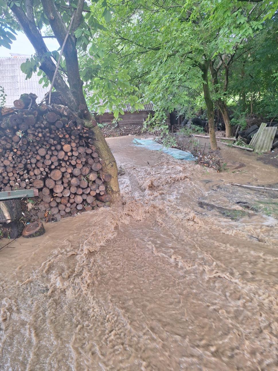 O rupere de nori a făcut prăpăd în Sighetu Marmației: case și străzi inundate, copaci doborâți de vânt 995667