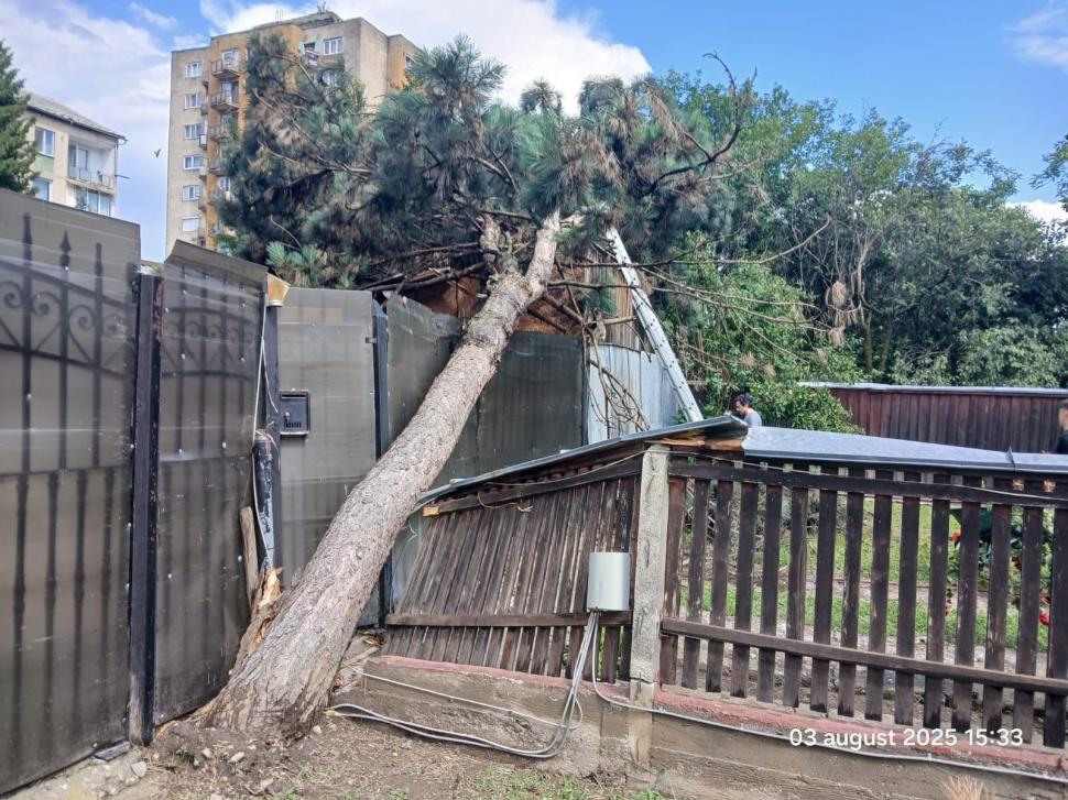 O rupere de nori a făcut prăpăd în Sighetu Marmației: case și străzi inundate, copaci doborâți de vânt 995668