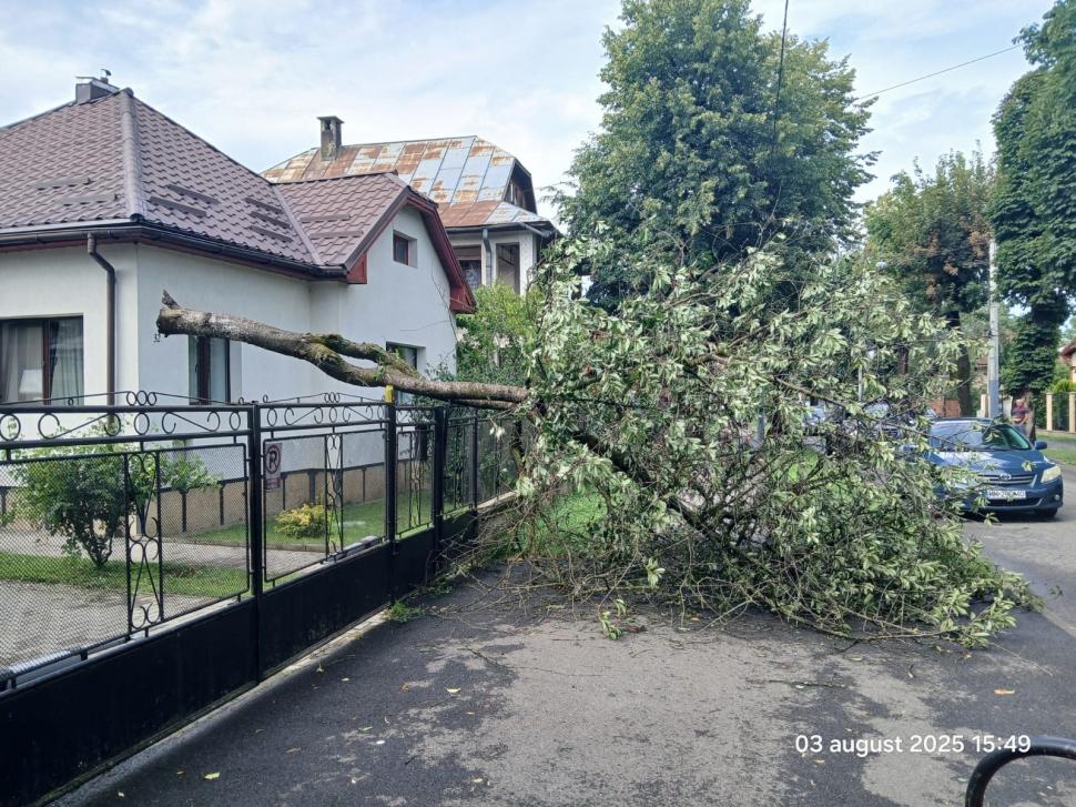 O rupere de nori a făcut prăpăd în Sighetu Marmației: case și străzi inundate, copaci doborâți de vânt 995669
