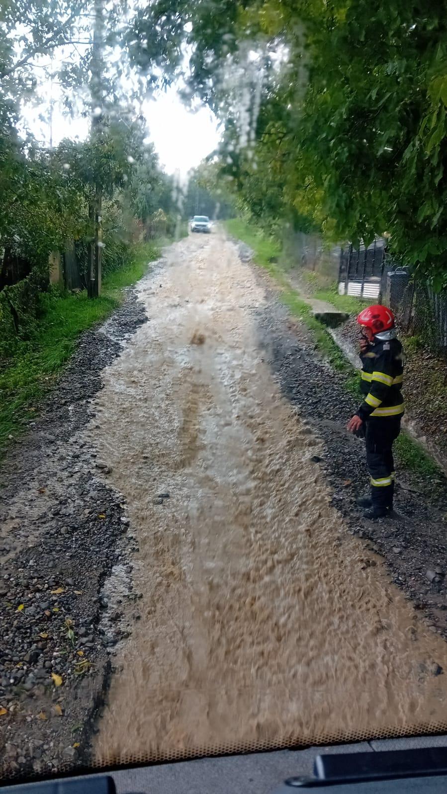 O rupere de nori a făcut prăpăd în Sighetu Marmației: case și străzi inundate, copaci doborâți de vânt 995671