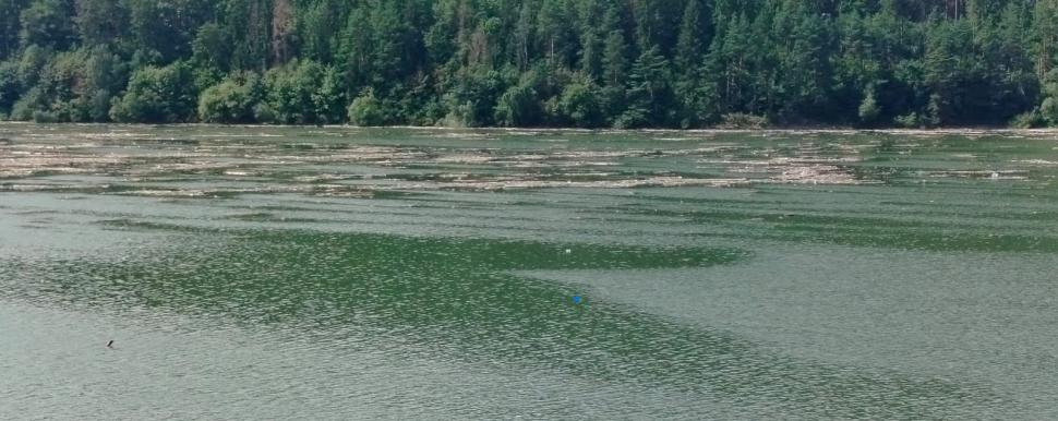 CJSU Neamţ a declarat stare de alertă în comuna Borca din cauza deşeurilor aduse de viituri 996000