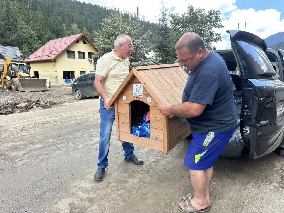 Povestea emoţionantă a lui Lăbuș din Broșteni, câinele care şi-a așteptat zile în şir familia printre ruine după inundaţii 995860