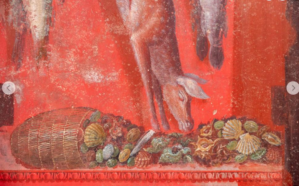 Noile descoperiri de la Pompei arată care era dieta romanilor şi tehnicile agricole antice 996079