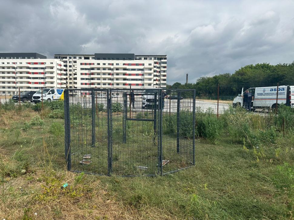 ASPA prinde câinii fără stăpân cu un nou țarc-capcană, ca să nu îi sperie 996507