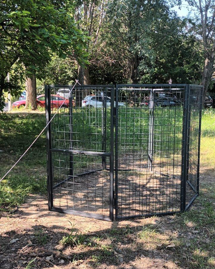 ASPA prinde câinii fără stăpân cu un nou țarc-capcană, ca să nu îi sperie 996509