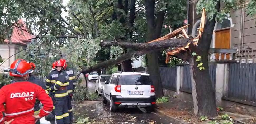 Cod roșu de furtună puternică la Iași. Mai mulți copaci au fost doborâți, opt mașini avariate și străzi inundate 996765