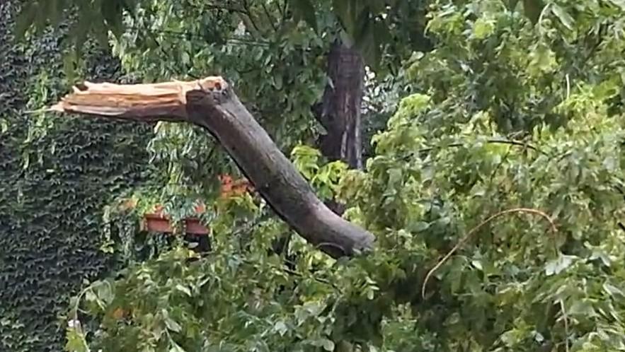 Cod roșu de furtună puternică la Iași. Mai mulți copaci au fost doborâți, opt mașini avariate și străzi inundate 996766