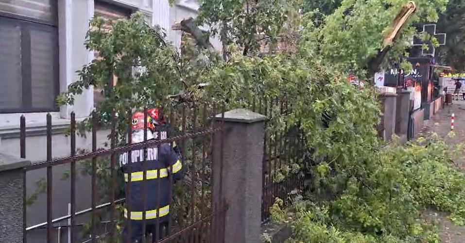 Cod roșu de furtună puternică la Iași. Mai mulți copaci au fost doborâți, opt mașini avariate și străzi inundate 996770