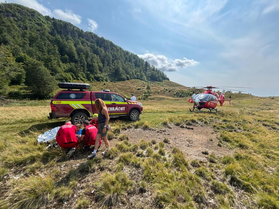 Copilul de 7 ani al unor turiști a fost mușcat de viperă pe Creasta Cocoșului din Maramureș: Intervine elicopterul SMURD 997034
