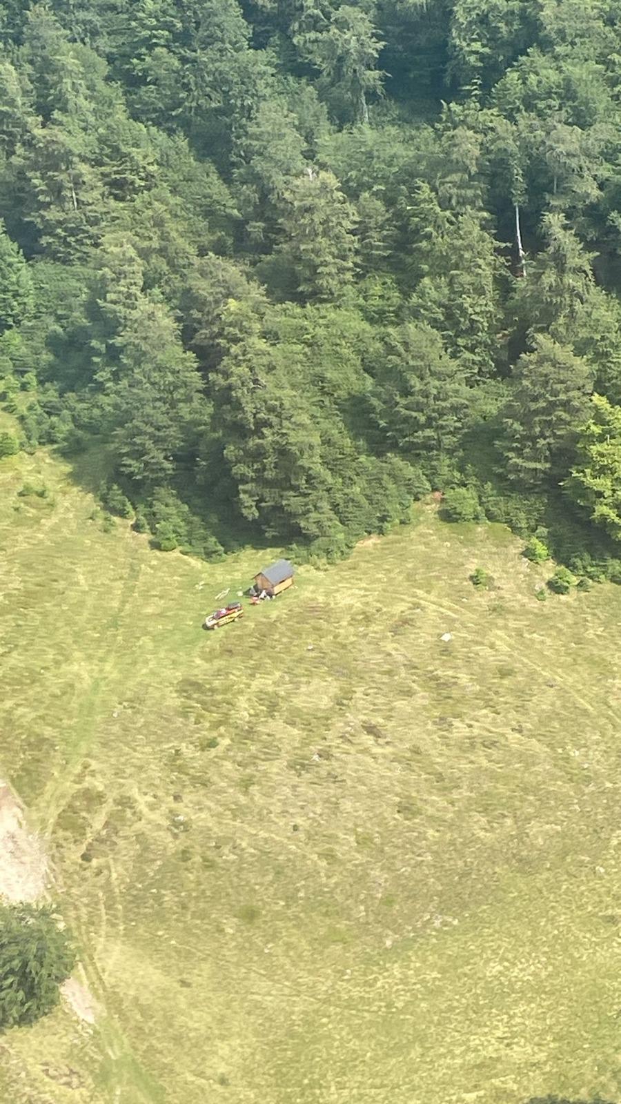 Copilul de 7 ani al unor turiști a fost mușcat de viperă pe Creasta Cocoșului din Maramureș: Intervine elicopterul SMURD 997035