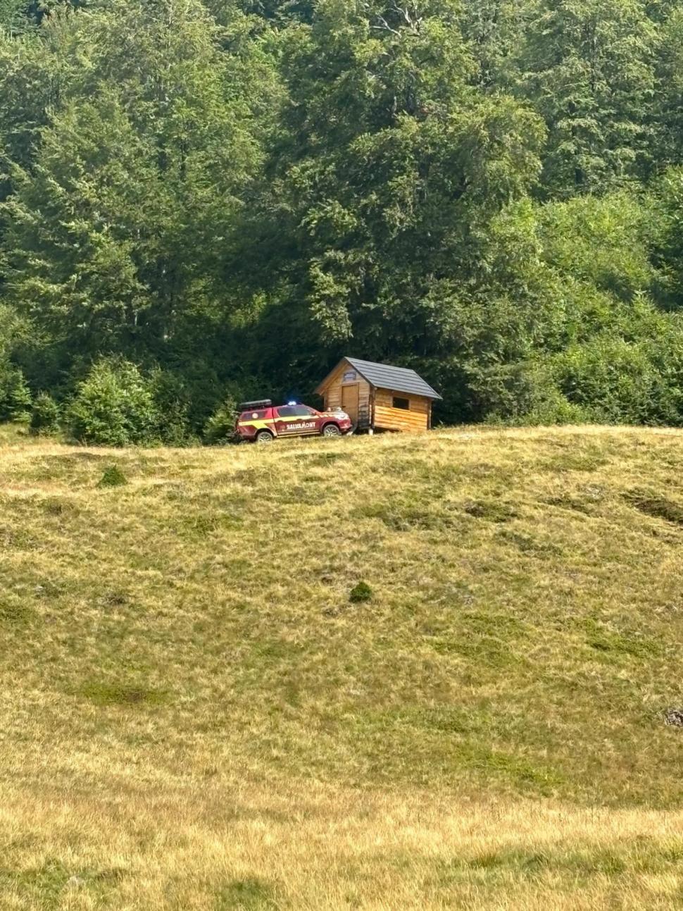 Copilul de 7 ani al unor turiști a fost mușcat de viperă pe Creasta Cocoșului din Maramureș: Intervine elicopterul SMURD 997036