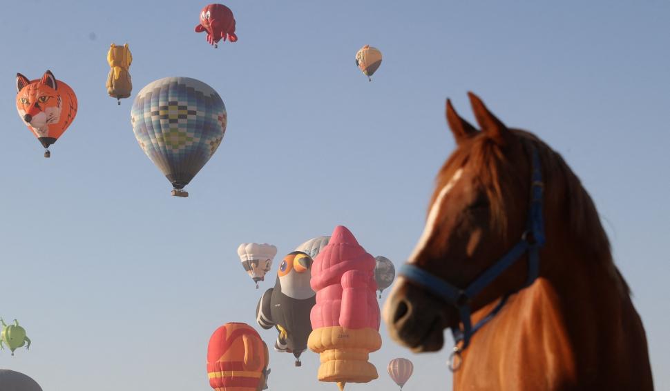 Spectacol inedit în Cappadocia: Zeci de baloane în formă de animale, mașini sau personaje jucăușe, colorează cerul pentru vizitatori 996930