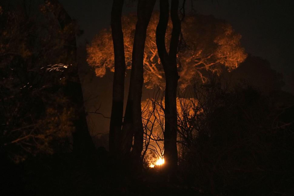 Spania e devastată de incendii. Un om a murit în apropiere de Madrid. Mii de turiști au fost evacuați dintr-o stațiune din Cadiz 998014