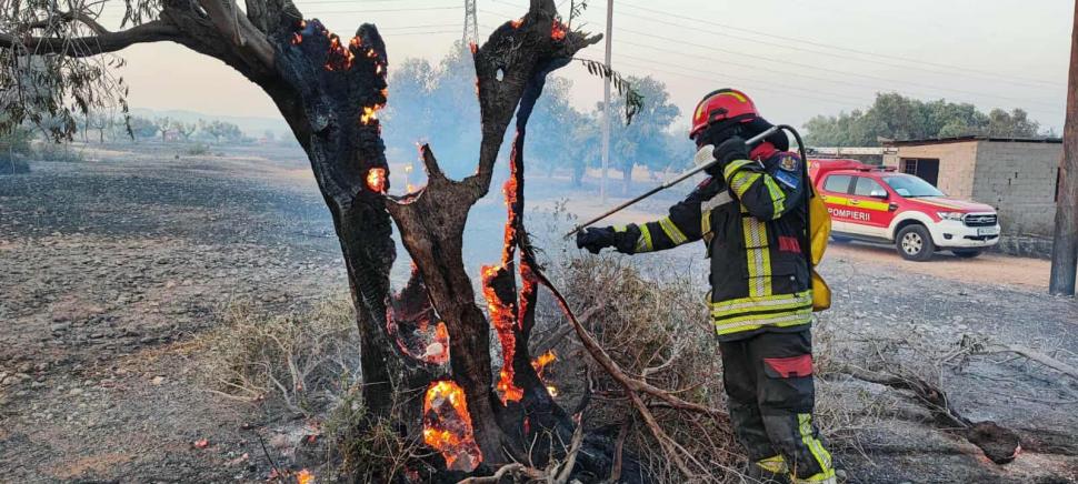 Incendii devastatoare în Grecia: Peste 20 de pompieri români intervin în zona Megara 998287