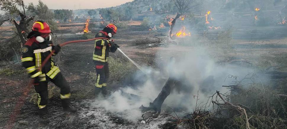 Incendii devastatoare în Grecia: Peste 20 de pompieri români intervin în zona Megara 998289