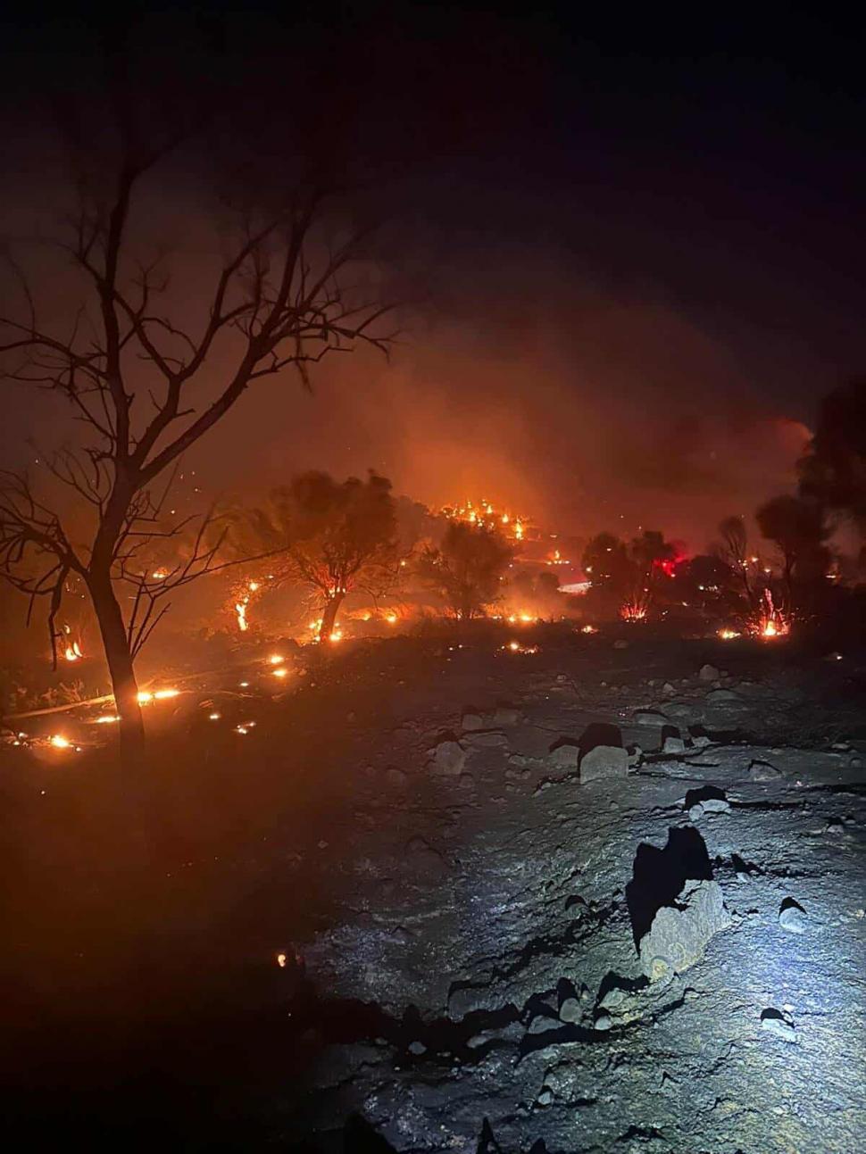 Incendii devastatoare în Grecia: Peste 20 de pompieri români intervin în zona Megara 998290