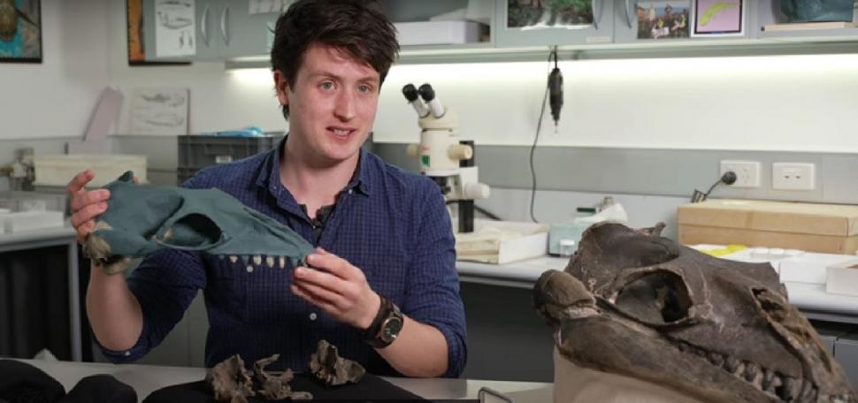 Un bărbat a găsit rămășițele unei balene preistorice în Australia. Creatura marină a trăit în urmă cu 26 de milioane de ani 998741