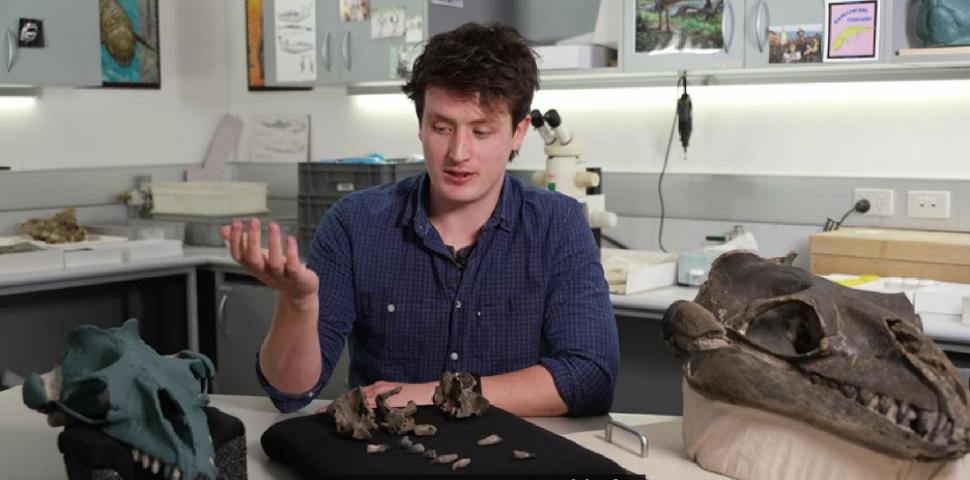 Un bărbat a găsit rămășițele unei balene preistorice în Australia. Creatura marină a trăit în urmă cu 26 de milioane de ani 998748