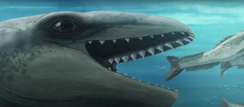 Un bărbat a găsit rămășițele unei balene preistorice în Australia. Creatura marină a trăit în urmă cu 26 de milioane de ani 998749