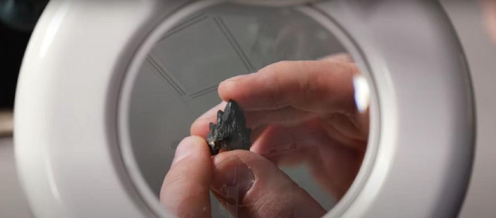 Un bărbat a găsit rămășițele unei balene preistorice în Australia. Creatura marină a trăit în urmă cu 26 de milioane de ani 998750