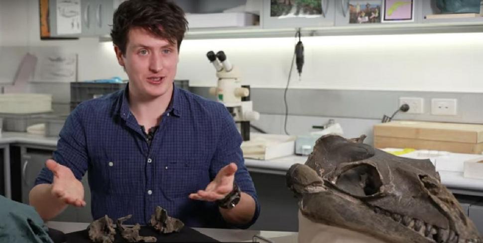 Un bărbat a găsit rămășițele unei balene preistorice în Australia. Creatura marină a trăit în urmă cu 26 de milioane de ani 998751