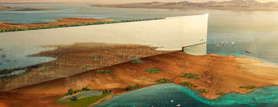 Ce se află în spatele pierderii de 8 miliarde de dolari a fondului de investiții masiv al Arabiei Saudite. Lovitura dată de Neom 998912