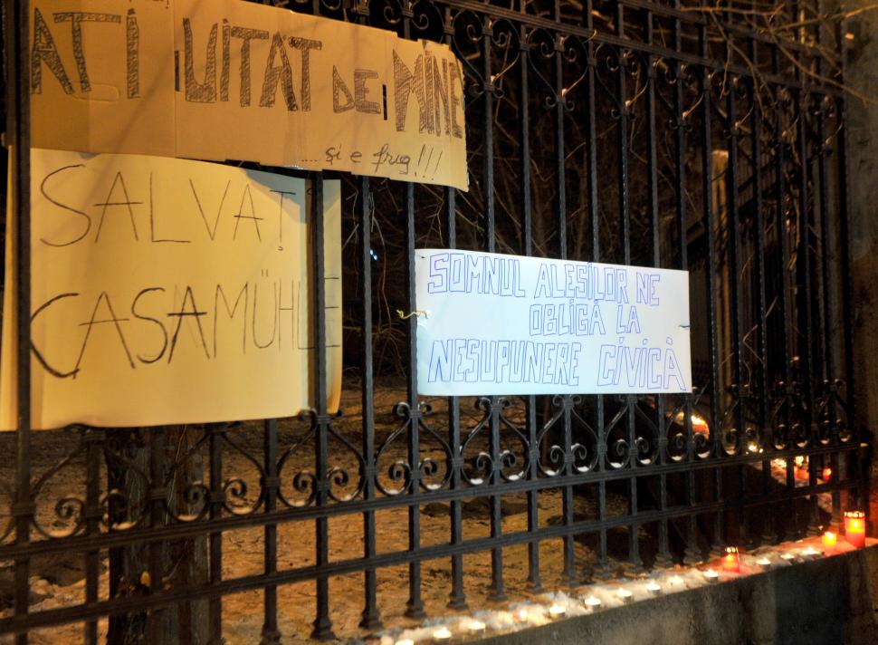 Timișoara vrea să cumpere Casa Muhler, faimoasă pentru grădinile sale. De aici provine trandafirul „Madame Josephine” folosit de Chanel 998834