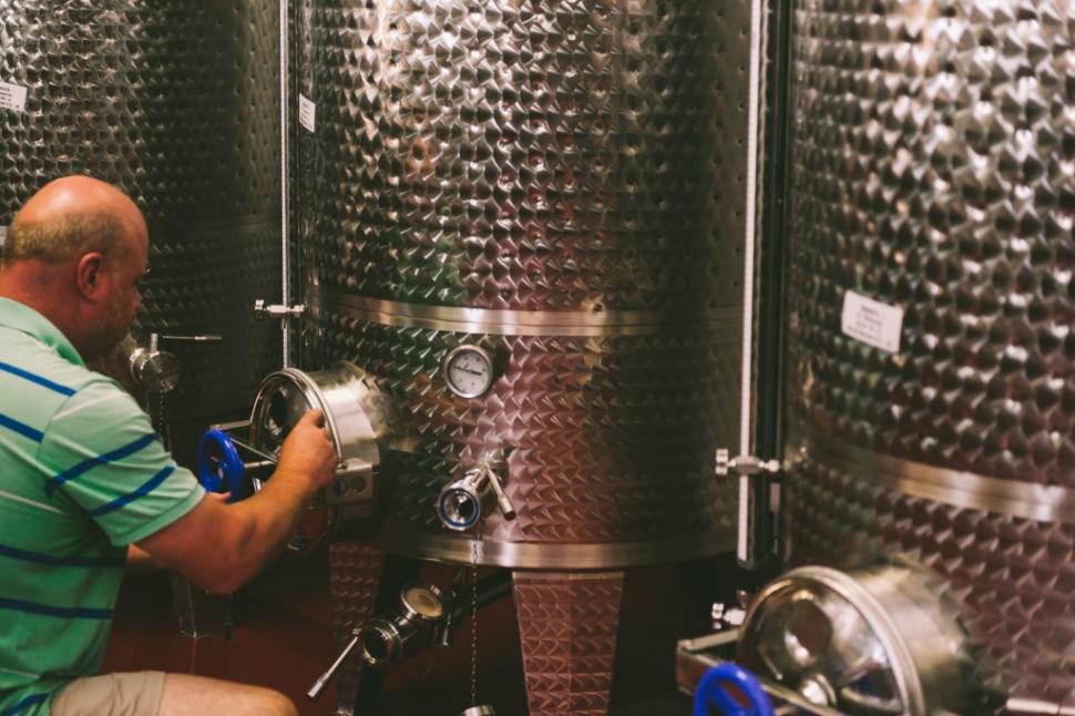 De ce turiștii străini sunt fascinați de Banat: Drumul Vinului, o experiență unică în România 999273