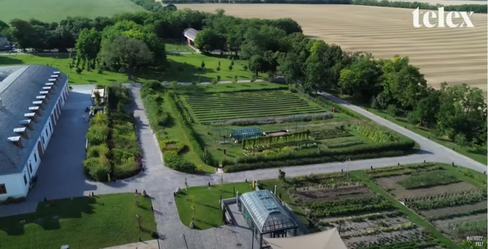 Imaginile care au scandalizat Ungaria. Viktor Orban, despre luxul de la moșia lui cu palmieri, alei încălzite și zebre: „Prostii” 998956