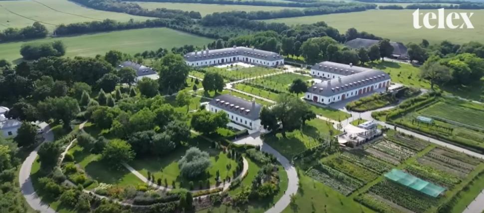 Imaginile care au scandalizat Ungaria. Viktor Orban, despre luxul de la moșia lui cu palmieri, alei încălzite și zebre: „Prostii” 998967