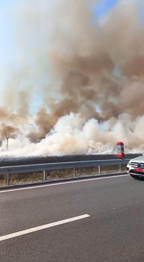 Incendiu uriaș în Gorj. Oamenii fug din case cu copiii în brațe, sute de hectare au ars. La Târgu Jiu, voluntarii intervin cu tractoare 999296