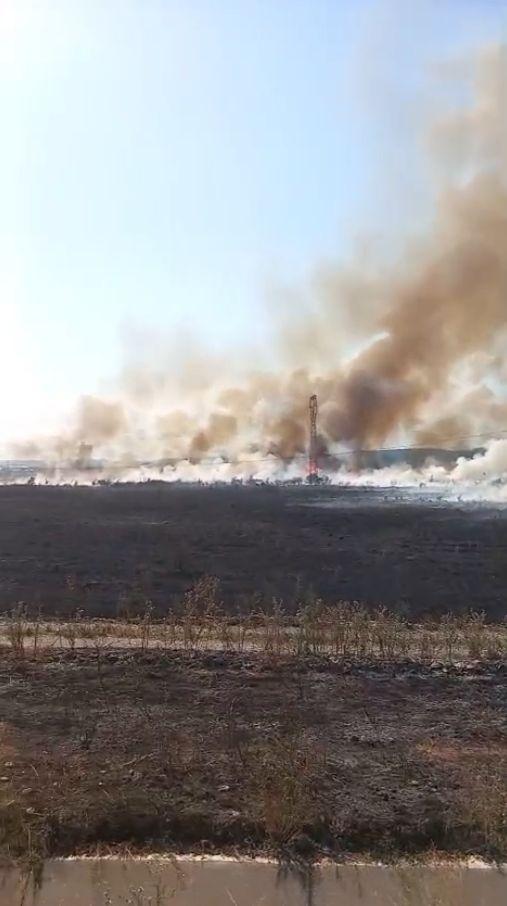 Incendiu uriaș în Gorj. Oamenii fug din case cu copiii în brațe, sute de hectare au ars. La Târgu Jiu, voluntarii intervin cu tractoare 999297