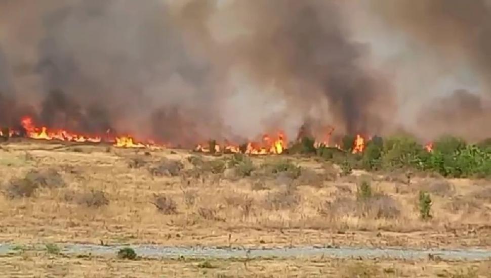 Incendiu uriaș în Gorj. Oamenii fug din case cu copiii în brațe, sute de hectare au ars. La Târgu Jiu, voluntarii intervin cu tractoare 999299