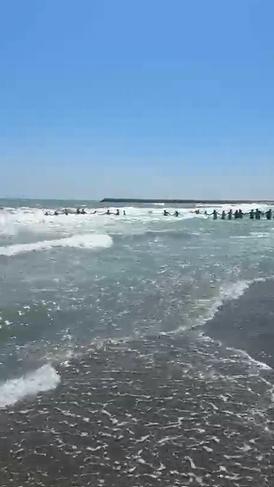 Steagul roșu ignorat pe litoral. Un bărbat s-a înecat. Patru persoane salvate la limită după ce turiștii au format lanț uman 999244